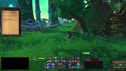 World of Warcraft Dragonflight | playthrough 79
