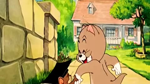 Funny Tom and Jerry