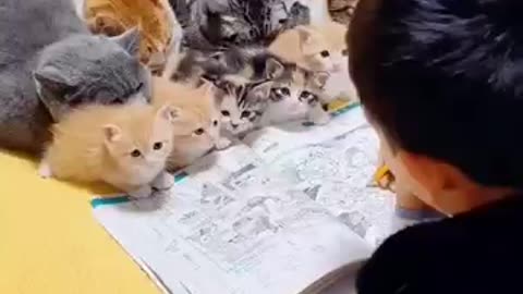 Kittens are learning!