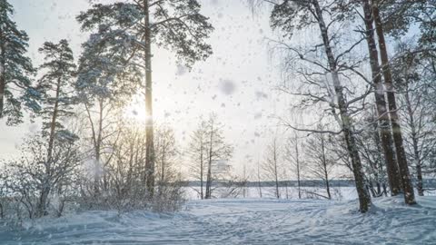 Snowfall beautiful winter landscape