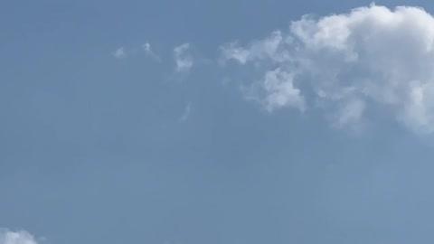 Bald headed Eagles? clan hovering over Lambtons golf course