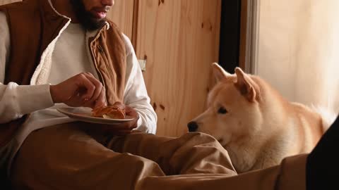 Man Sitting on the Floor Training a Dog