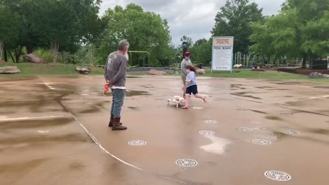 George & Weezy | 5 Month Old Albino Pekingese | Columbus, GA Dog Training