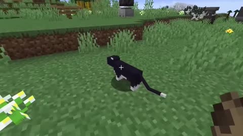 The Rise of Dogs in Minecraft: A New Era of Superiority