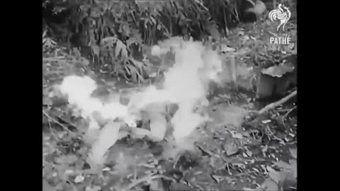 World War II footage - Japanese soldier forced out of his position by Australian flamethrower