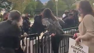 THIS IS FINE: Pro-Palestinian Lunatic Leftists Attack Secret Service Outside White House [WATCH]