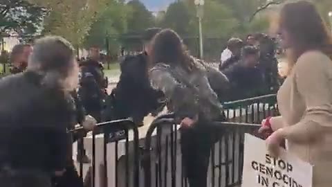THIS IS FINE: Pro-Palestinian Lunatic Leftists Attack Secret Service Outside White House [WATCH]