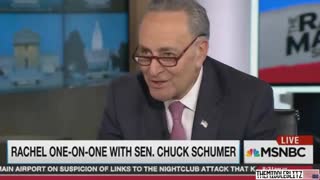 Sen. Chuck Schumer: "They have 6 ways from Sunday at getting back at you"