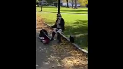 Boston Commons Musician