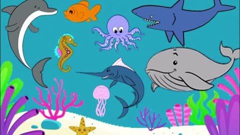 Εκπαιδευτικό Video Μαθαίνω τα Ζώα της Θάλασσας