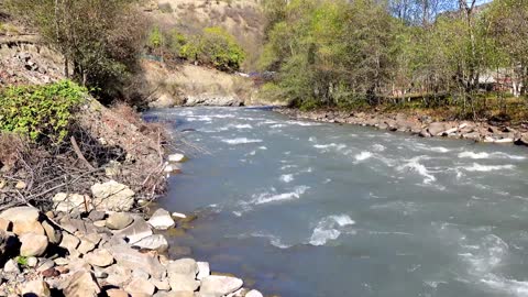 Relaxing River - Ultra HD Nature Video - Water Stream & Birdsong Sounds - Sleep-Study-Meditate