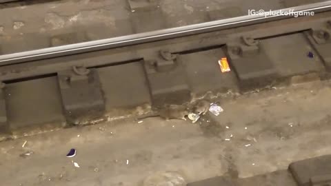 Two rats on train tracks fighting over food