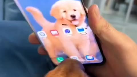 Cute Dog Unlocking Phone