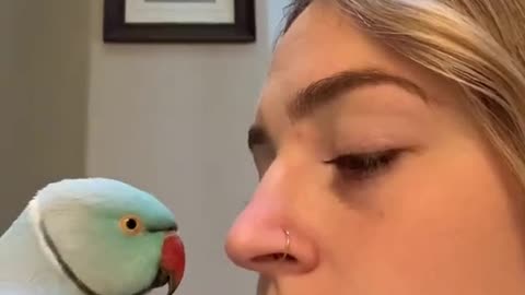 Don’t say anything to your bird and see what he does