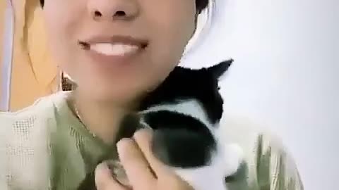 Purr-fect Filters: Cat Discovers TikTok Magic!