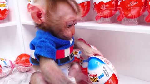 Satisfying video Cute Monkey animals -Zozo Go shopping in Kinder Joy Egg store and Play w puppy