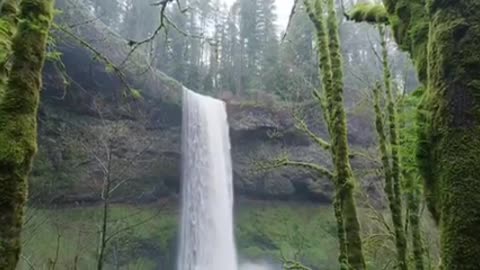 Beautiful water fall in forest.