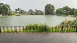 Rain on a pond