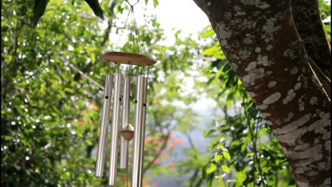 Wind Chime Hanging On A Tree