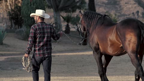 A rancher walks his horse