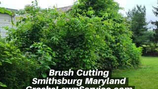 Brush Cutting Smithsburg Maryland Landscape Company