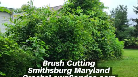 Brush Cutting Smithsburg Maryland Landscape Company