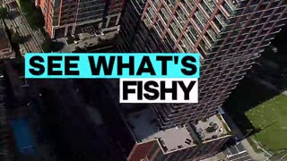 See What’s Fishy Jersey City - Episode 1