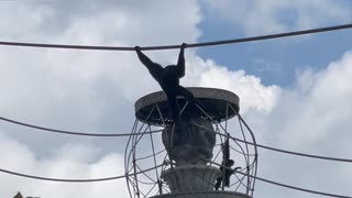 Swinging Gibbons at Animal Kingdom