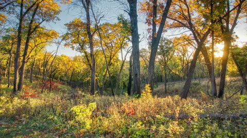 Ten Quick Tips to Improve Your Photography Tip Number Five: Golden Hour