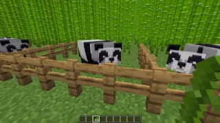 1 like = 1 bamboo for panda