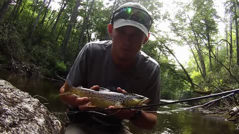 Wild Trout Fishing Pisgah National Forest 2015