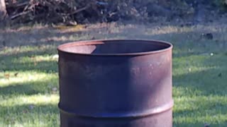 Burning yard waste in a barrel - Episode 3 (10/17/2023)