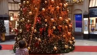 Climate activists attack multiple Christmas trees all around Germany