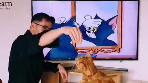 My cat loves Tom & and Jerry