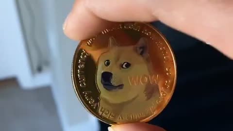 unbelievable!!! Much WOW for this DOGE COIN