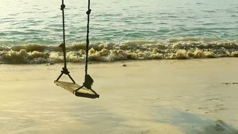 A rope swing at the beach