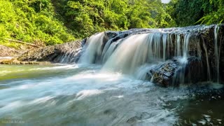 Nature Sounds of a River and Birds for Relaxing