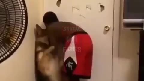 Family Films Kid Abusing Their Dog