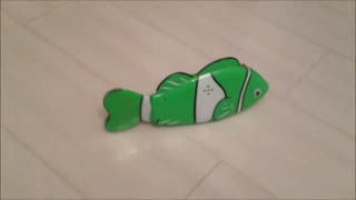 Singing Cartoon Fish