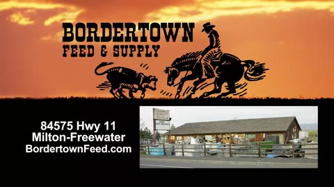 Bordertown Feed