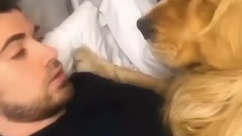 CUTE DOG WITH HIS OWNER