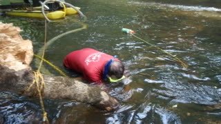 VA Gold On the Creek Slate River June 2008 2