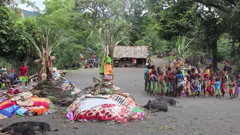 Tanna Island ceremonial kava procession