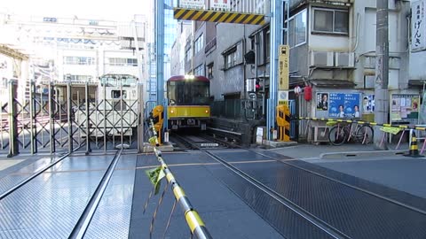 Tokyo Metro Crossing