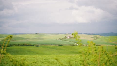 view of the green field italian landscape with spring meadow