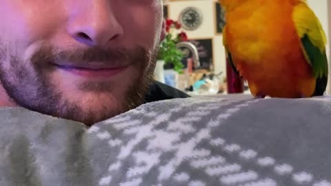 Parrot plays game with dad and then preens him