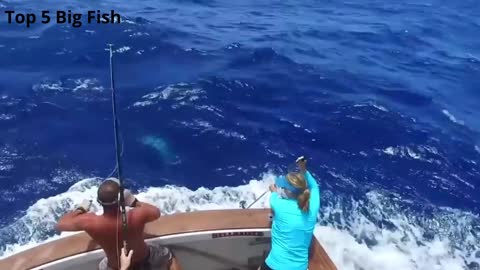 Top 5 Big Fish Caught in The Sea are Recorded By Cameras (Amazing Fishing Skills Catching Big Tuna)