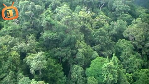 Malaysia l Amazing View at Langkawi Cable Car