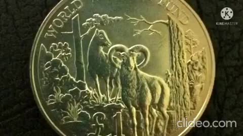 OLD COIN - 25th Anniversary of the World Wildlife Fund 1 Pound Cyprus 1986 Commemorative Issue Coin