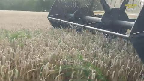 Modern agriculture harvesting